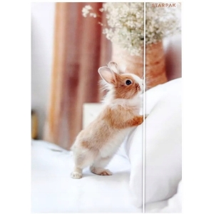 Teczka z gumką A4 KRÓLIK 559727 STARPAK