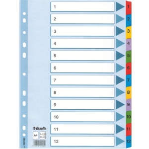 Przekładki kartonowe MYLAR A4 1-12 białe 100162 ESSELTE