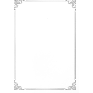 Dyplom A4 SILVER 190g. (20ark.) 210719 Galeria Papieru