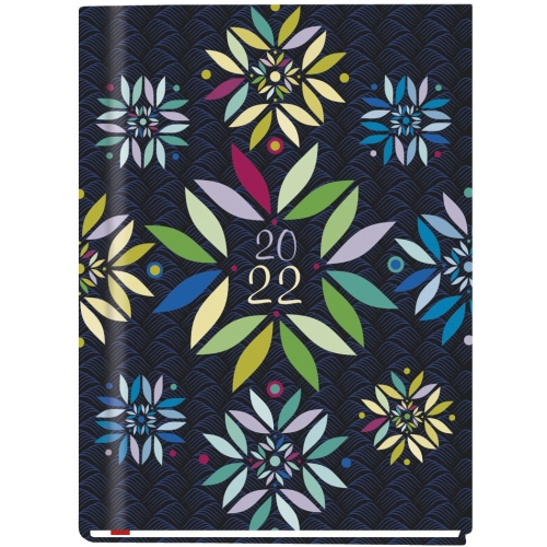 Terminarz B6 MARTA T-215F-02 Michalczyk i Prokop