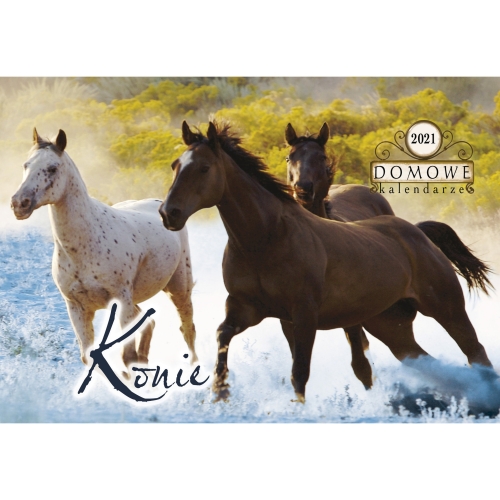 Terminarz DOMOWY - konie TW-10-6 Michalczyk i Prokop