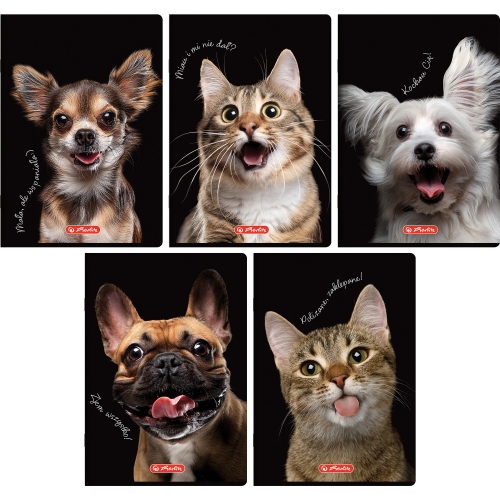 Zeszyt A5 60k linia z marginesem CRAZY ANIMAL 400196838 HERLITZ