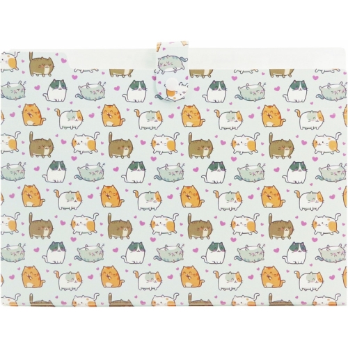 Teczka harmonijkowa A4 PP 5 przegródek z nadrukiem KITTENS THN-A4-35 BIURFOL