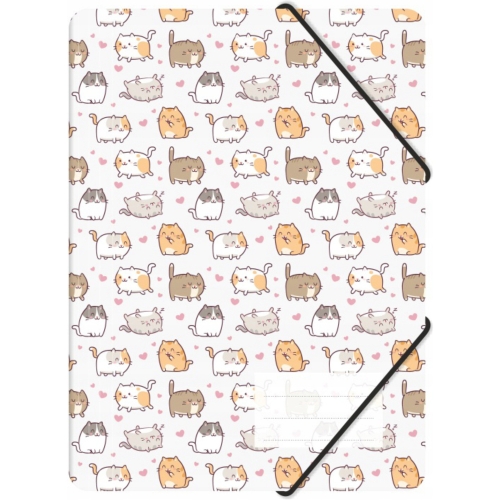 Teczka z gumką A4 PP z nadrukiem KITTENS TGN-A4-35 BIURFOL