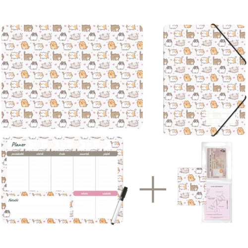 Zestaw szkolny z nadrukiem KITTENS KPL-NADRUK-01-35 BIURFOL