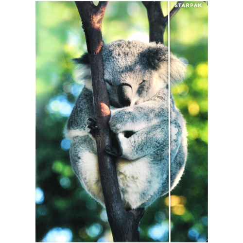 Teczka z gumką A4 WILD ANIMAL KOALA 559730 STARPAK