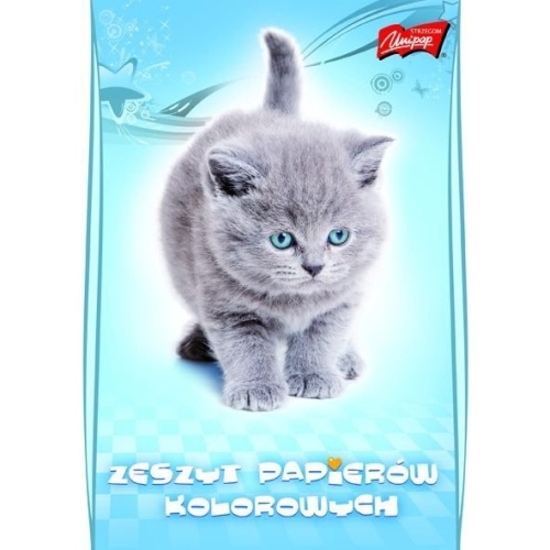 Zeszyt papierów kolorowych A4 10k nabłyszczany UNIPAP