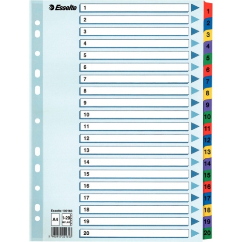 Przekładki kartonowe MYLAR A4 1-20 białe 100163 ESSELTE