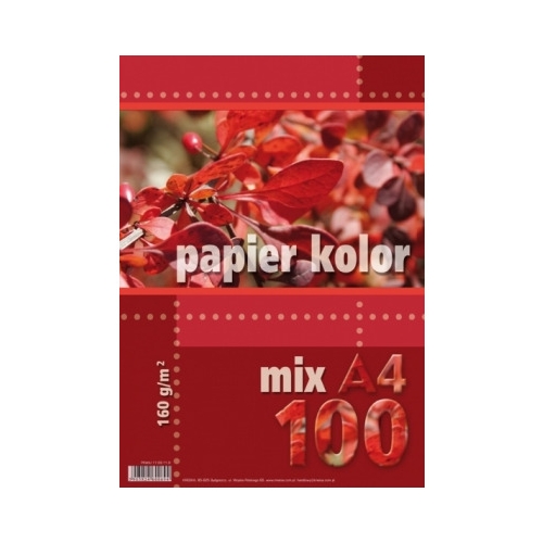 Papier ksero mix kolorów A4 160g, 100 arkuszy KRESKA
