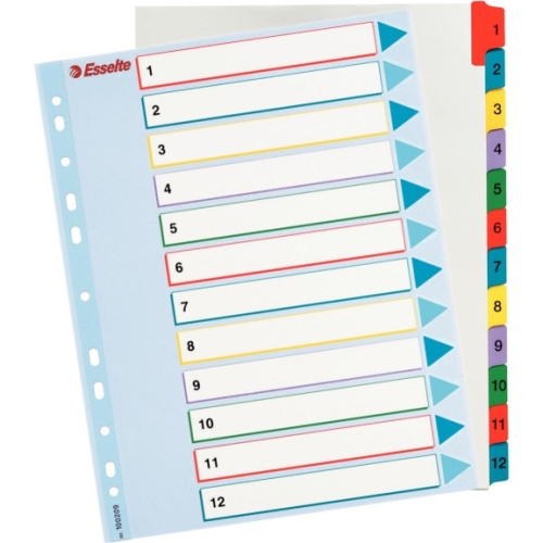 Przekładki kartonowe MYLAR A4 MAXI 1-12 ESSELTE 100209